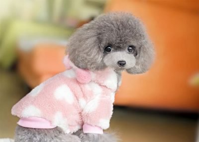 Multivitaminy suplement tabletki wielofunkcyjne koty i psy naturalne wsparcie odpornościowe i łagodzenie alergii dla psa 2